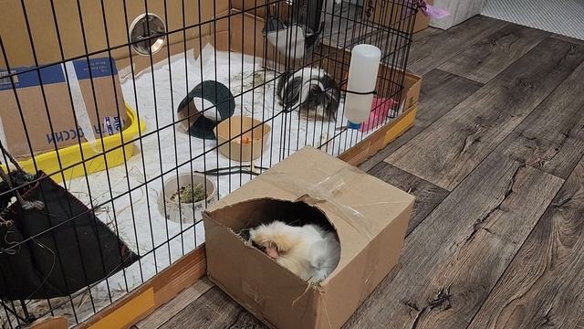 Посылка 📦 с Улли