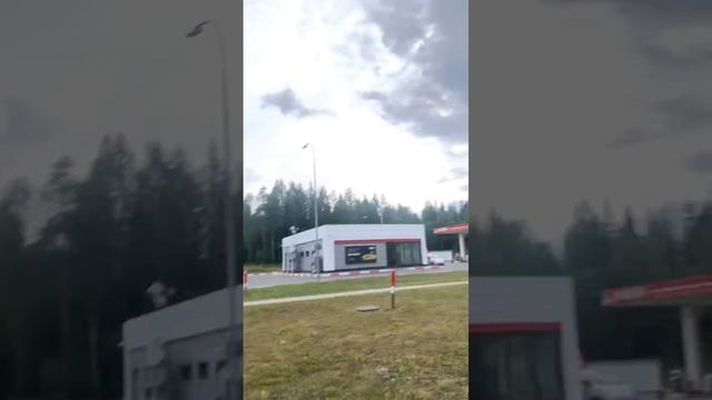 1080p_Город_мирный_поехали_за_черникой_в_лес