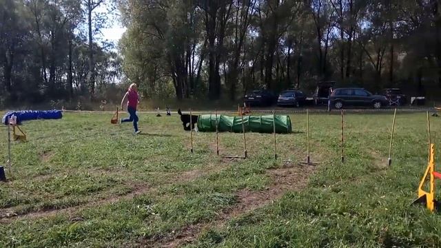 Аджилити 10 сентября 2017. Люба и Люша 1 место
