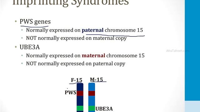 Genetics - 1. Genetic Concepts - 6.Imprinting atf