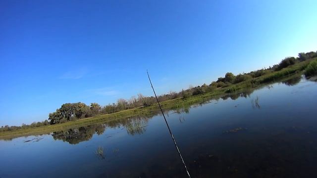 мормышинг в болоте