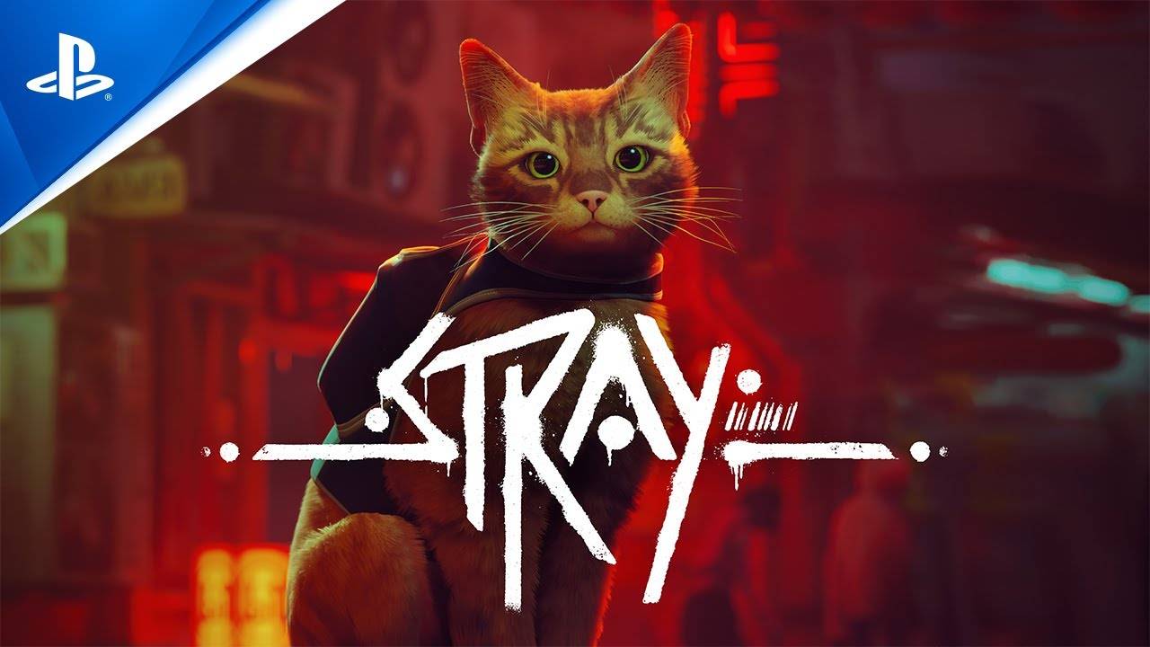 Stray - Launch Trailer |