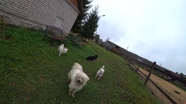 Ecotourism in Russia. Cheese farm