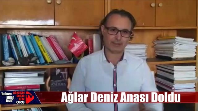 ağlar dolusu deniz anası