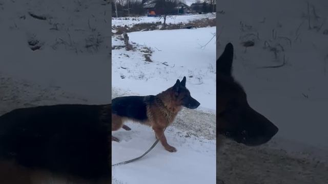 Джемма из Домодедово