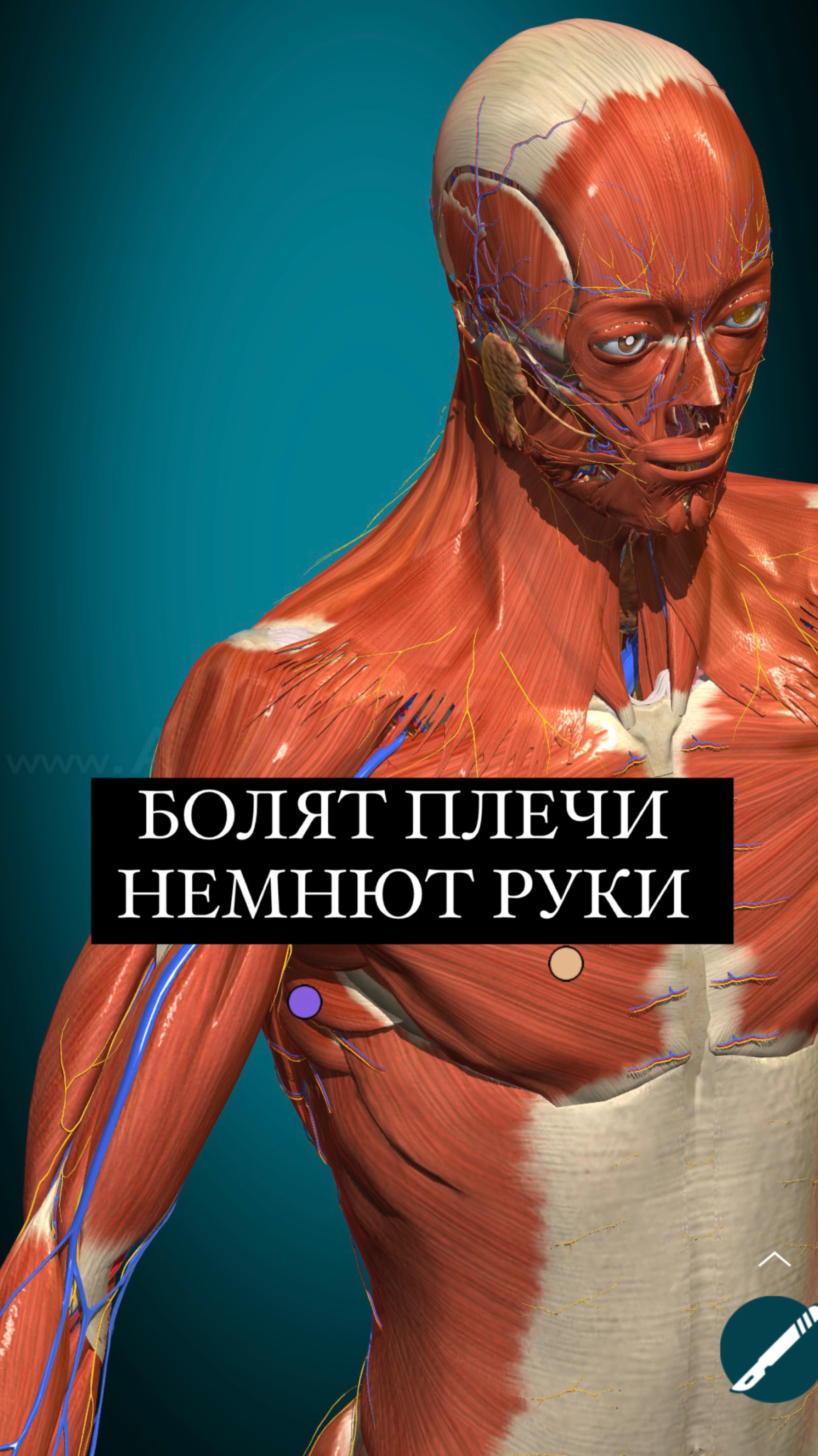 Отзывы от пациентов