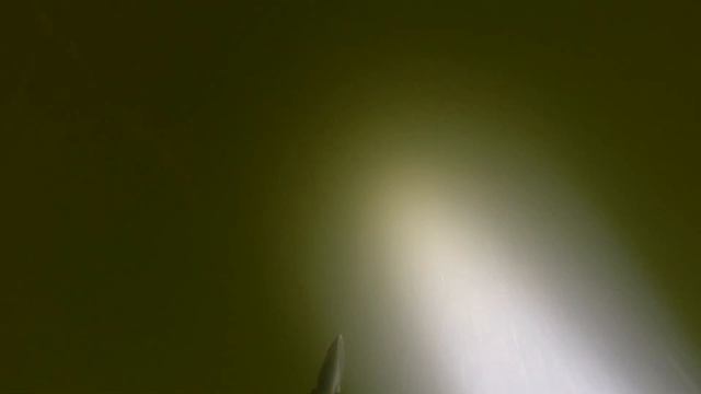 Долгожданный трофей. Сом. Дал Жару. Подводная Охота