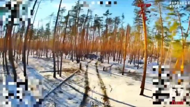 Минус хохлоГРАД и нерасторопный порось из его расчёта