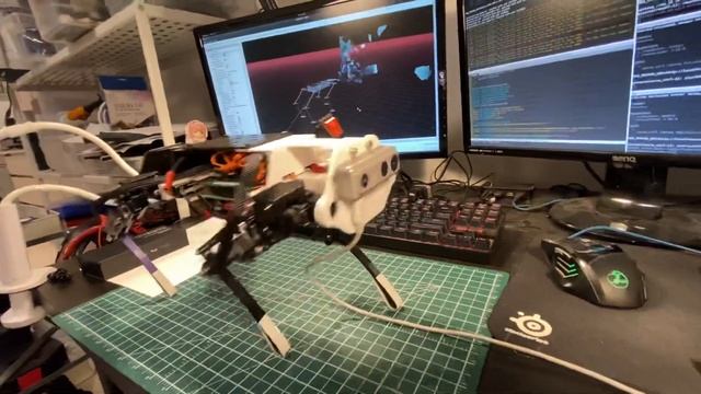 Quadruped Yuki mini with depth camera