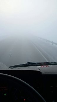 Туман 19.02.2024