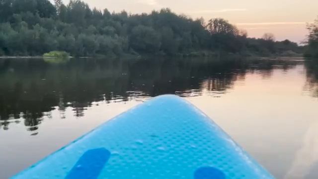 ПТИЧЬИ СТАИ