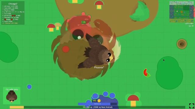 Getting Golden Shahbaz for the first time - Mope.io