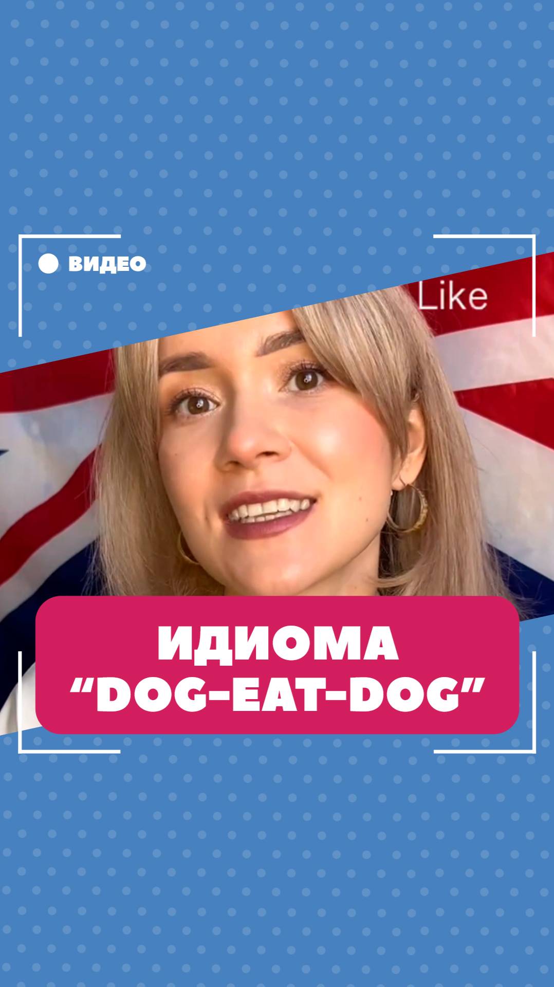 Что означает выражение "dog-eat-dog"? Школа английского языка English Discussions