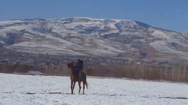 Кобра три года.