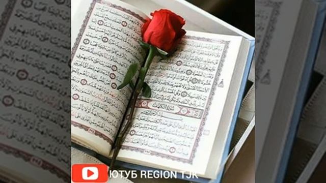Салом бахмгивиеоргушикунти леакимони(3)