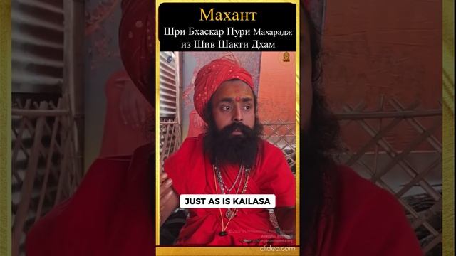 «Сам Шива живет в Кайласе», сказал махант из Шив Шакти Дхам