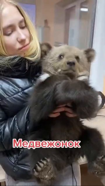 Маленький мишутка 🐻