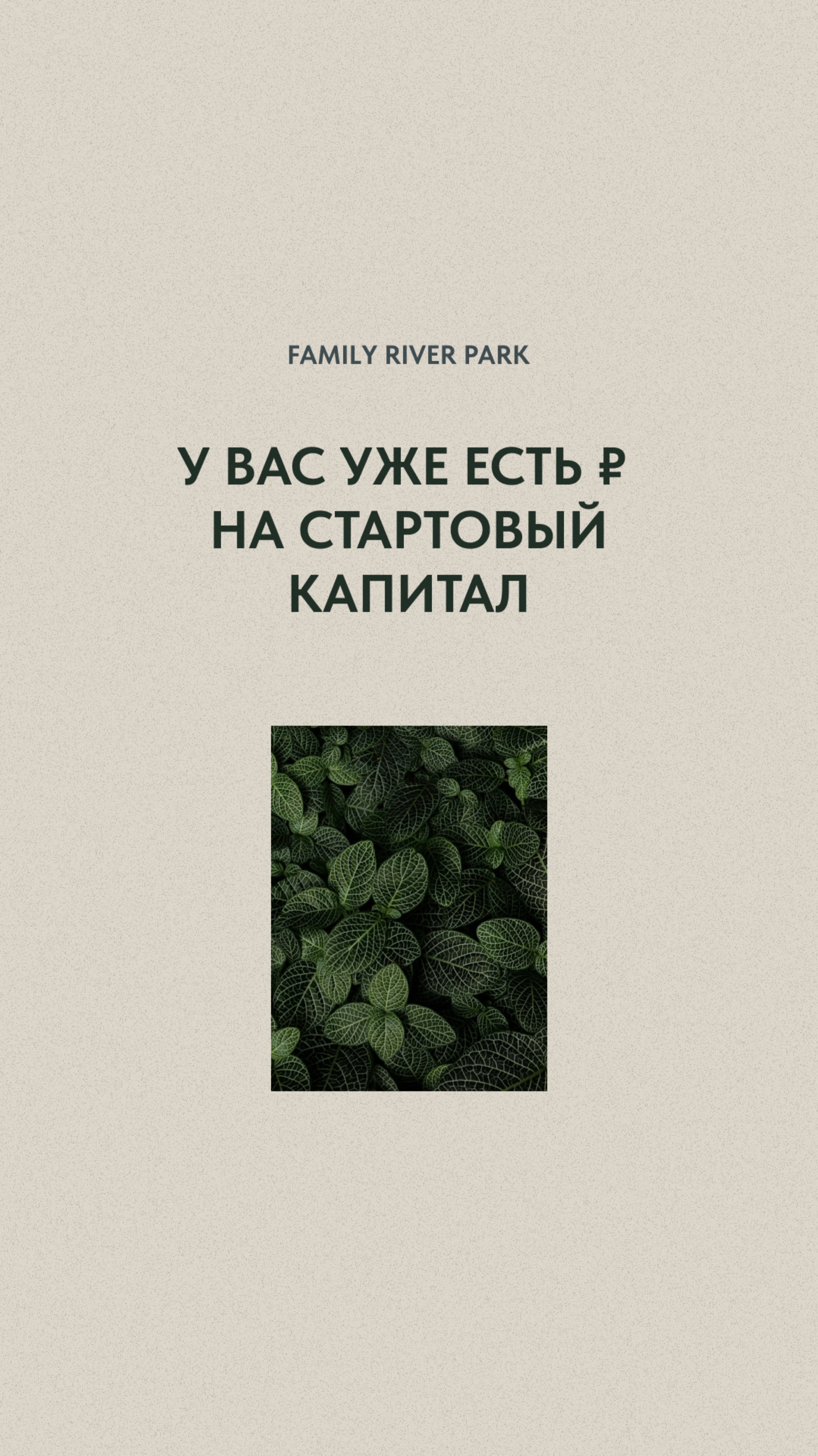 Корзина на ВБ или дом? Решать вам!)