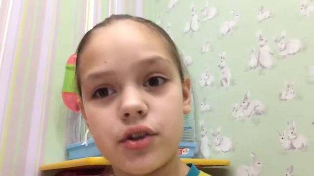 Несколько фактов о хомячке Джери / полезные советы / Мария Мерзликина / .