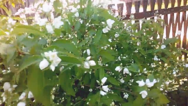 11 июня 2019 г.