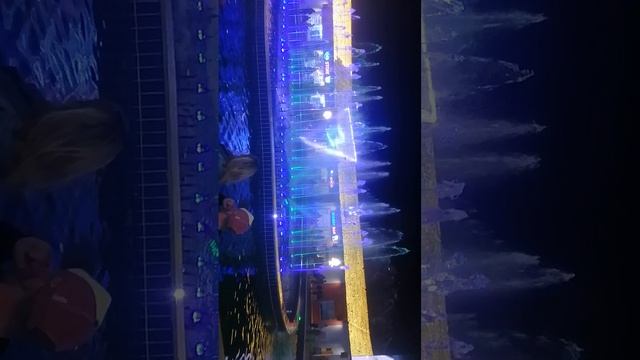 VID_20250215_203350.mp4