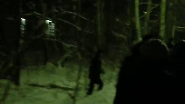 Лоси в Заречном