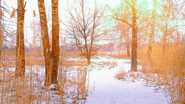ФЕВРАЛЬСКОЕ СОЛНЫШКО