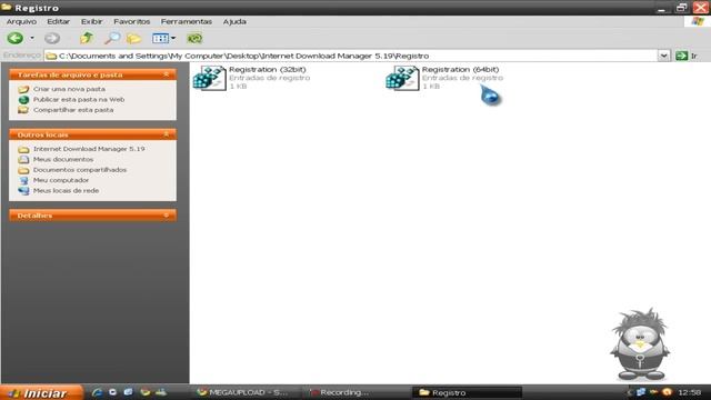 Baixar e Crakear IDM (Internet Download Manager) 5.19
