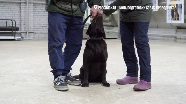 Помощь и поддержка