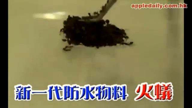火蟻群拍得住Gore-Tex 變新代超強防水料