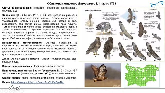 Курс за наблюдение на птици - група  София ІІ - горски птици