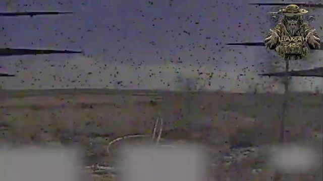 Ореховское направление. Восточнее н.п. Новоандреевка. Операторы дронов подразделения Шаман 14...