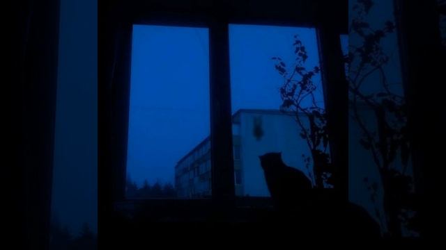 в полном бреду