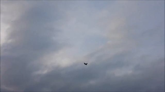 Oblot ESA XL - Albatros D II z napolskimniebie.pl