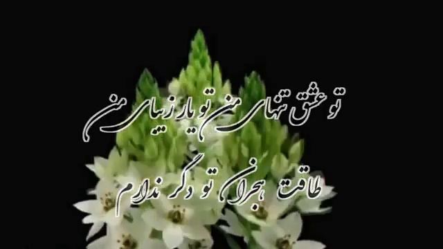 خودت میدانی گل من خودت میدانی - Ahmad Zahir💛💛💛