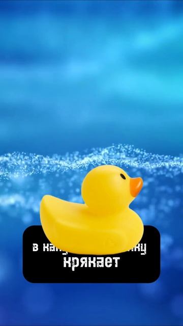 Охотник в больнице