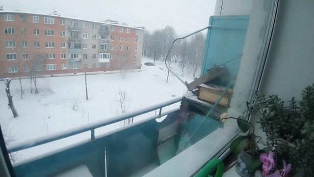 3319 ул. 50 лет СССР дом 10