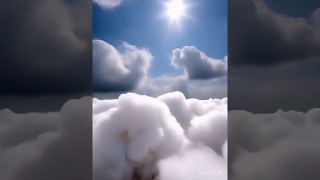 пушистая вата (автор Дэн).mp4