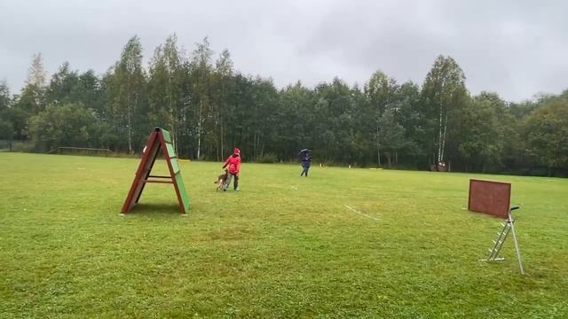 Квалификационные состязания по IGP-1 22-25.09.2022 Раздел В 96 баллов