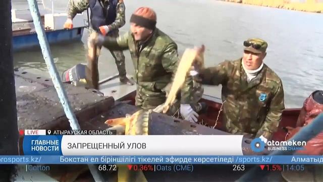 Запрещенный улов