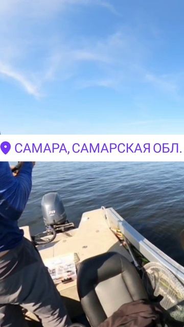 Поклевка щуки на камеру
Отчеты с рыбалок тут:
https://t.me/rybalka163
#рыбалкасгидом #трофейнаярыба