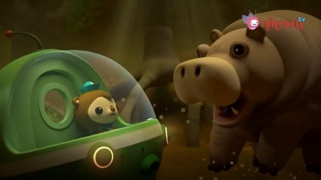 S04E22 Октонавти та гіпопотами