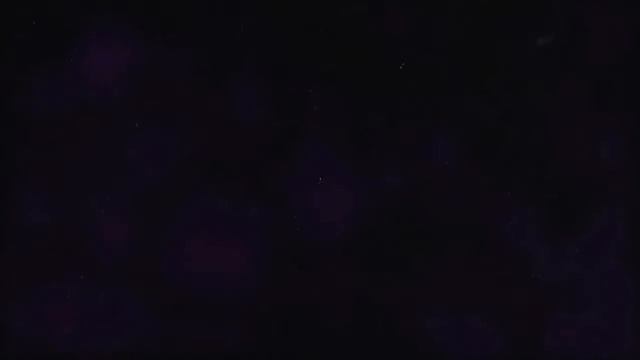 Как стать успешным в Казахстане? (Без агашек, родственников и т.д.)