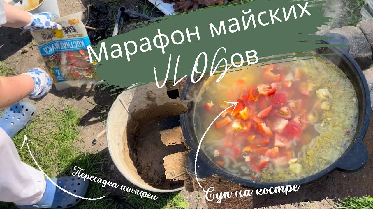 Архив 2024 Рабочие майские#4 Наш день на даче Пересадка второй нимфеи Разметили грядки Суп на костре
