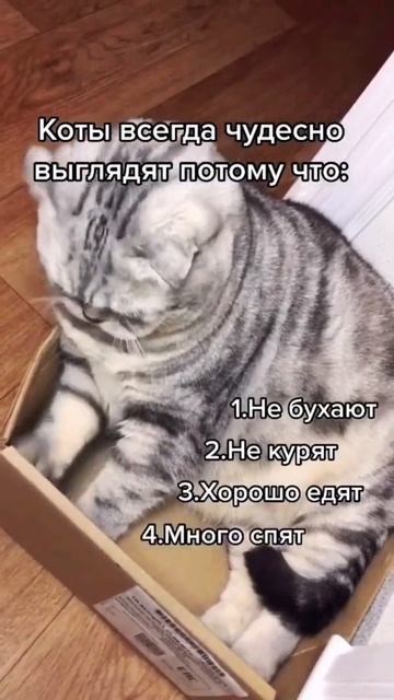 18 марта 2022 г.