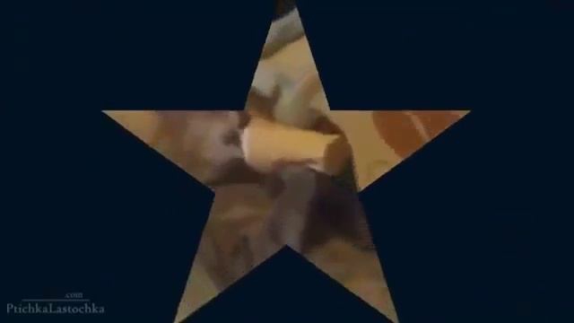 Смешные кошки смешат людей Самые смешные видео