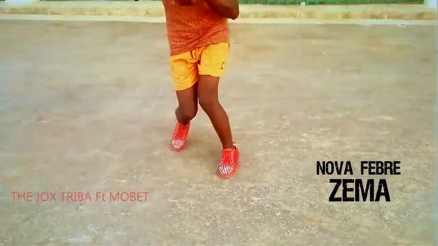 Zema   Nova Febre