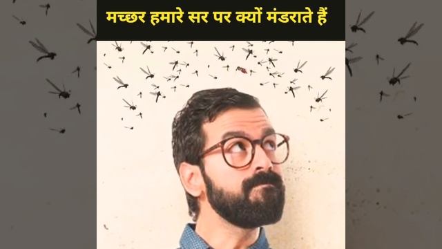 मच्छर हमारे सर पर क्यों आते हैं? #shorts