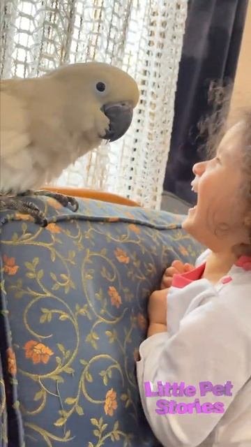 Cockatoo alba loves children very much, какаду альба очень любит детей. #shorts