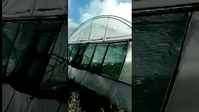 Последствия урагана на Украине 29.06.2018